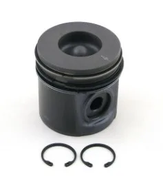 PISTON STD - 2255437 - CAT Alternativo