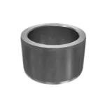 BUJE - 2368183 - CAT Alternativo