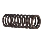 RESORTE - 2418386 - CAT Alternativo