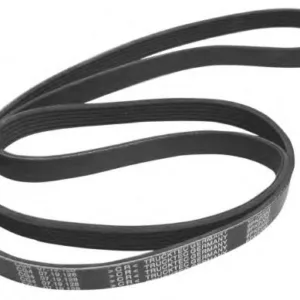 CORREA - 2941781 - CAT Alternativo