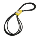 JUEGO CORREAS - 3196293 - CAT Alternativo