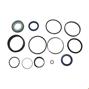 JUEGO REPARACION CILINDRO HIDRAULICO - 3387156 - CAT Alternativo