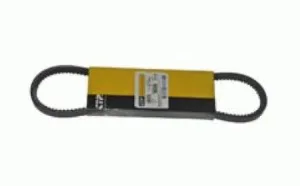 CORREA - 366775 - CAT Alternativo