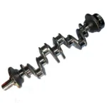 CIGUEÑAL - 4302593 - CAT Alternativo